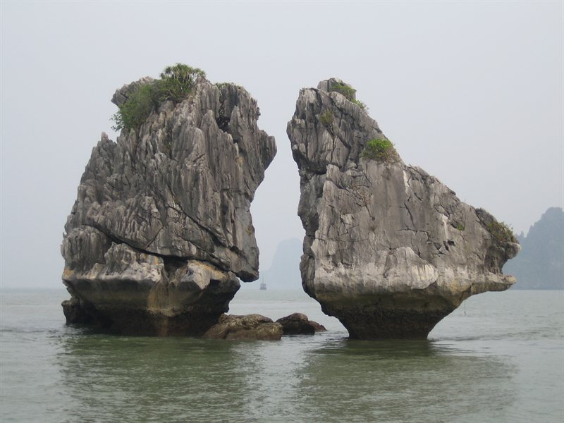 Khoảnh khắc trên vịnh 6