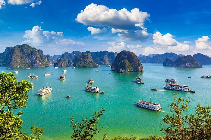 Vịnh Hạ Long